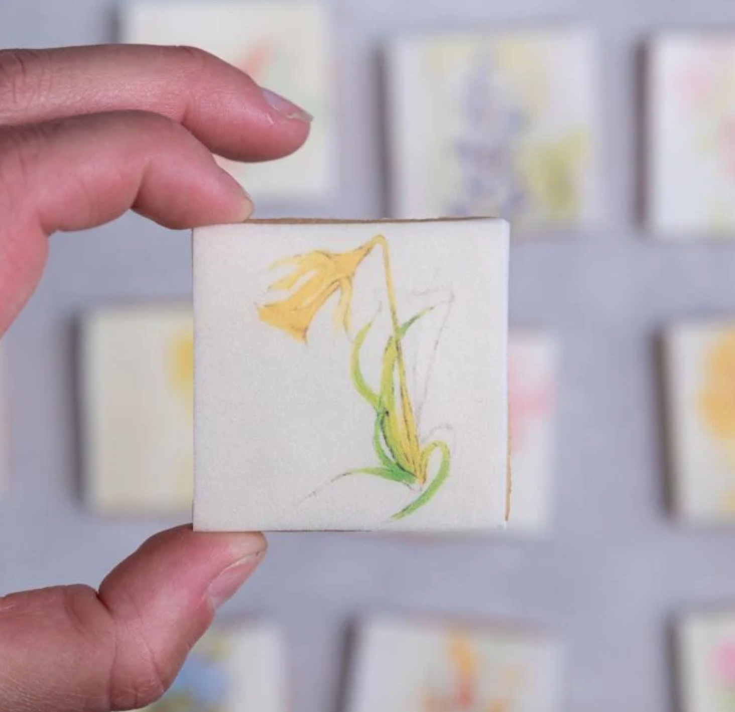 Flower Biscuits